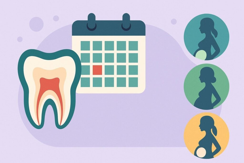 What trimester is best for root canal treatment?